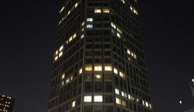 提升组织适应性:管理咨询中的关键实践路径